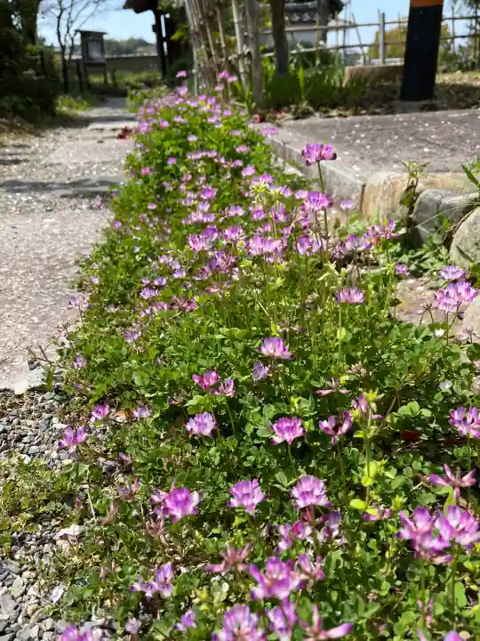 惠心院(京都府)