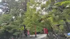 鍬山神社(京都府)