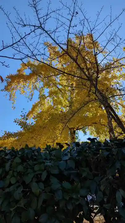 勧修寺(京都府)