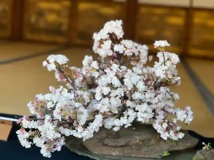 仁和寺(京都府)