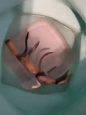 歓喜院のその他建物