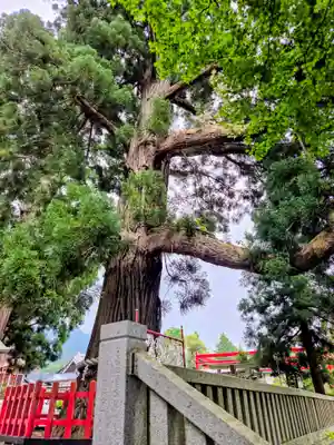 志和古稲荷神社(岩手県)