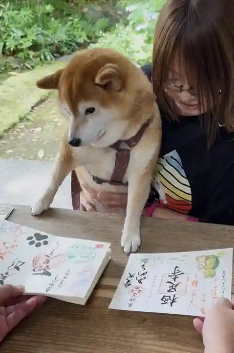 かっぱの寺 栖足寺(静岡県)