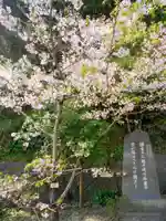 甘縄神明神社(甘縄神明宮)の自然