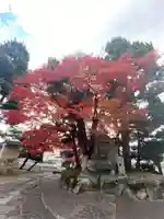 月橋院(京都府)