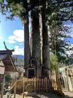 奥氷川神社(東京都)