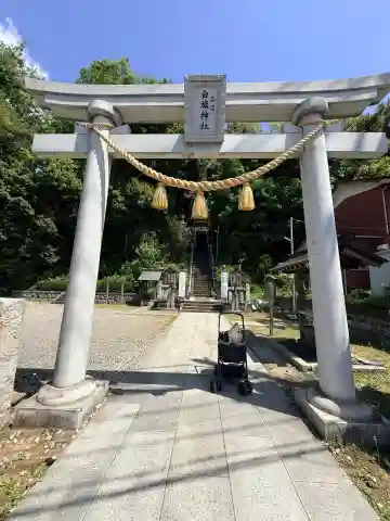 白旗神社(品濃白旗神社)の{uncategorized: "未分類", other: "その他", undefined: "問題あり", building: "その他建物", grave: "お墓", sacred_gate: "鳥居", guardian: "狛犬", statue: "像", buddha: "仏像", history: "歴史", nature: "自然", garden: "庭園", animal: "動物", pagoda: "塔", temizu: "手水舎", mountain_gate: "山門・神門", sanctuary: "本殿・本堂", subordinate: "末社・摂社", art: "芸術", scenery: "景色", jizo: "地蔵", ema: "絵馬", goshuin: "御朱印", omikuji: "おみくじ", items: "授与品その他", amulet: "お守り", goshuincho: "御朱印帳", eats: "食事", festival: "お祭り", votive_dance: "神楽", shichigosan: "七五三参", wedding: "結婚式", experience: "体験その他", initially: "初詣", around: "周辺", anti_infection: "感染症対策"}