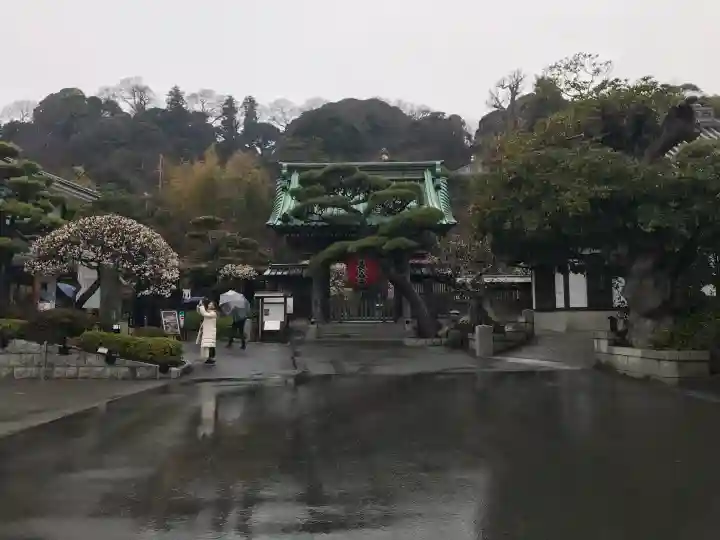 長谷寺の{uncategorized: "未分類", other: "その他", undefined: "問題あり", building: "その他建物", grave: "お墓", sacred_gate: "鳥居", guardian: "狛犬", statue: "像", buddha: "仏像", history: "歴史", nature: "自然", garden: "庭園", animal: "動物", pagoda: "塔", temizu: "手水舎", mountain_gate: "山門・神門", sanctuary: "本殿・本堂", subordinate: "末社・摂社", art: "芸術", scenery: "景色", jizo: "地蔵", ema: "絵馬", goshuin: "御朱印", omikuji: "おみくじ", items: "授与品その他", amulet: "お守り", goshuincho: "御朱印帳", eats: "食事", festival: "お祭り", votive_dance: "神楽", shichigosan: "七五三参", wedding: "結婚式", experience: "体験その他", initially: "初詣", around: "周辺", anti_infection: "感染症対策"}