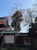 大國魂神社(東京都)