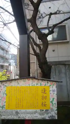 吉原神社の自然