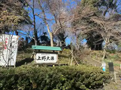 上野大佛(東京都)