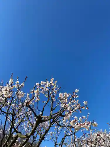 神前神社(岡山県)