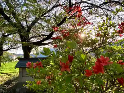 天神宮(伝河原氏屋敷跡)の自然