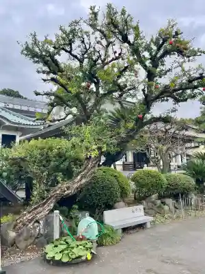 延命寺(神奈川県)