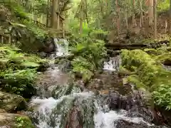 天徳寺の自然