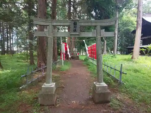 冨士御室浅間神社の鳥居