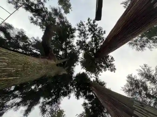 妙義神社(群馬県)