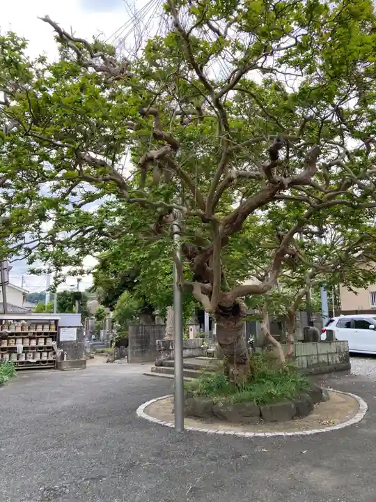 本興寺(神奈川県)