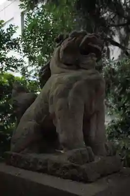 愛宕神社の狛犬