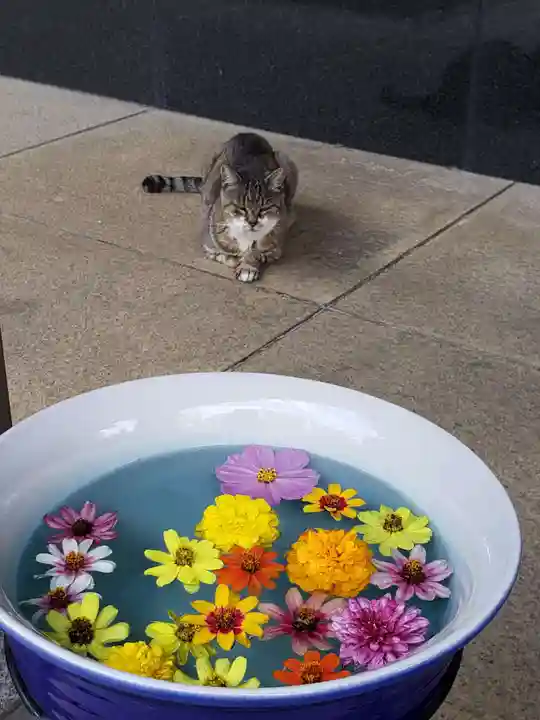 白金氷川神社(東京都)