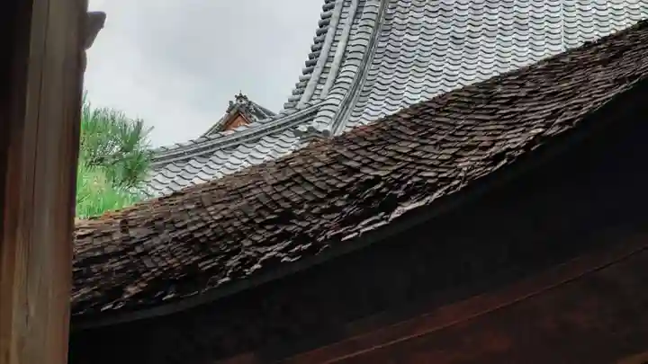 仁和寺の本殿・本堂