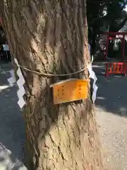 田無神社の自然