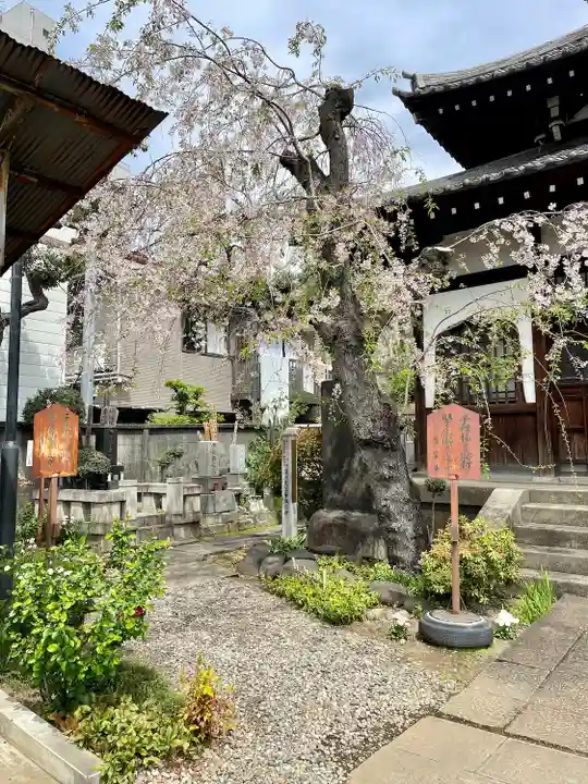 青雲寺(東京都)