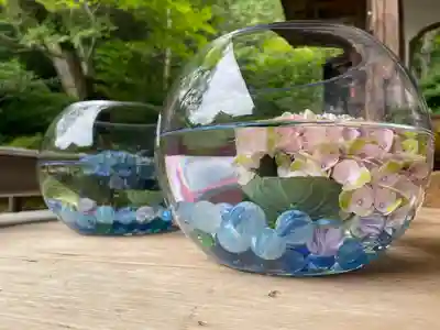 二尊院(京都府)