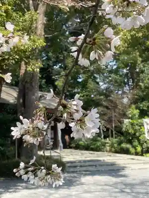阿佐ヶ谷神明宮(東京都)