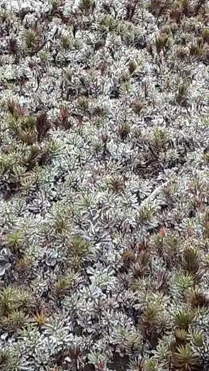 西方山極楽寺(岐阜県)