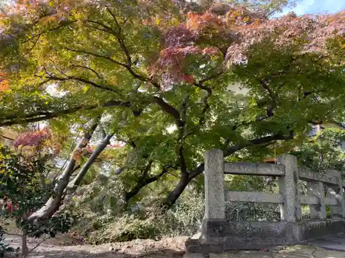 館腰神社の自然
