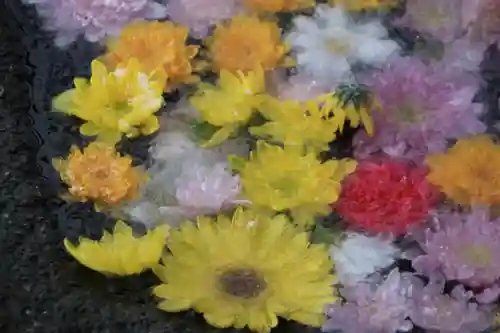 大鏑神社の手水