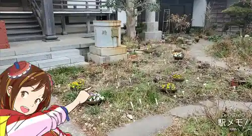 安世院(千葉県)