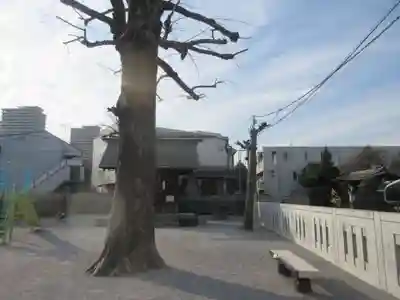 諏訪神社(東京都)