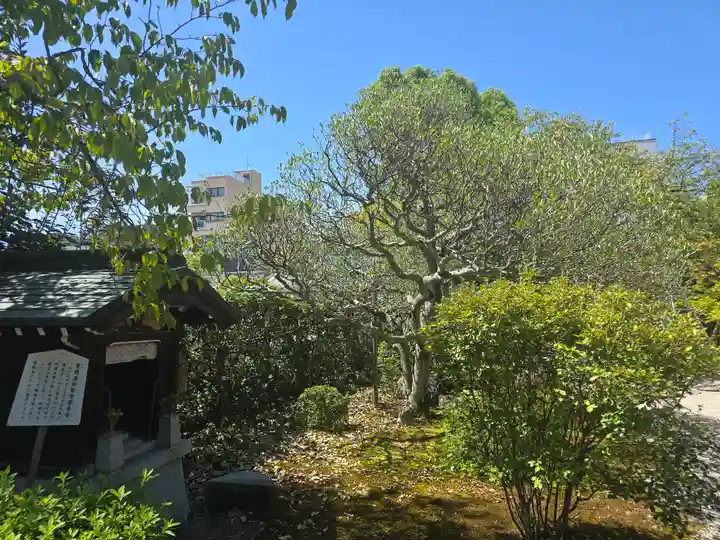 報恩寺(京都府)