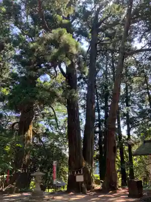 高藏寺(宮城県)