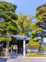 栖光院の山門・神門