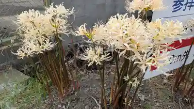 玉田神社(京都府)
