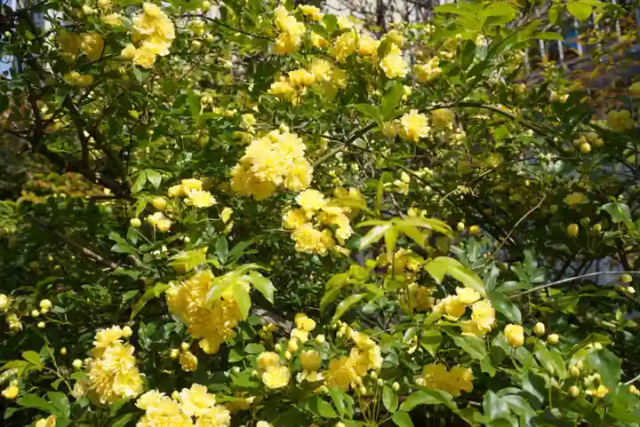 三輪神社の自然