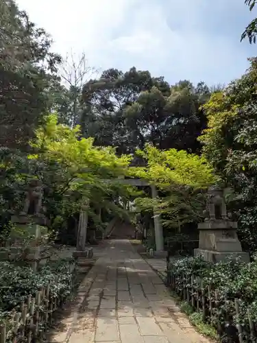 赤坂氷川神社(東京都)