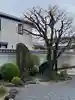實相寺(実相寺) の庭園