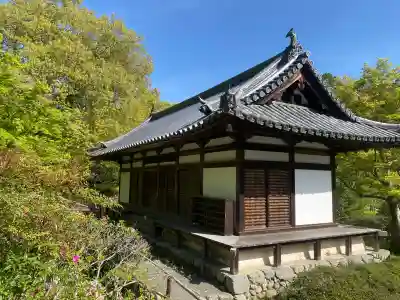 観心寺の{uncategorized: "未分類", other: "その他", undefined: "問題あり", building: "その他建物", grave: "お墓", sacred_gate: "鳥居", guardian: "狛犬", statue: "像", buddha: "仏像", history: "歴史", nature: "自然", garden: "庭園", animal: "動物", pagoda: "塔", temizu: "手水舎", mountain_gate: "山門・神門", sanctuary: "本殿・本堂", subordinate: "末社・摂社", art: "芸術", scenery: "景色", jizo: "地蔵", ema: "絵馬", goshuin: "御朱印", omikuji: "おみくじ", items: "授与品その他", amulet: "お守り", goshuincho: "御朱印帳", eats: "食事", festival: "お祭り", votive_dance: "神楽", shichigosan: "七五三参", wedding: "結婚式", experience: "体験その他", initially: "初詣", around: "周辺", anti_infection: "感染症対策"}