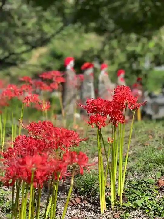 陽林寺(福島県)