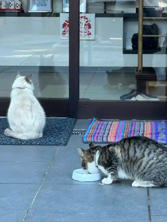 大聖寺(土浦大師不動尊)(茨城県)