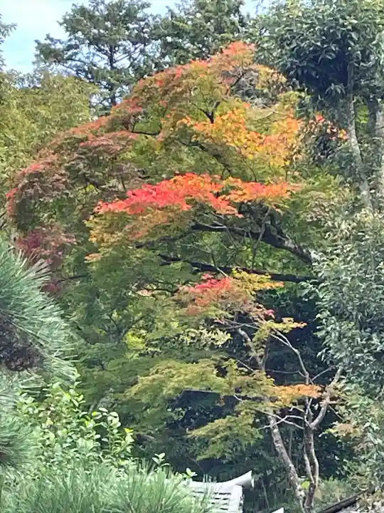 鏑射寺(兵庫県)