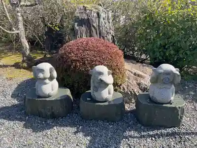 蓮華寺(京都府)