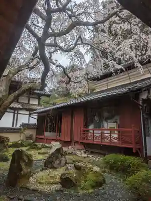 十輪寺(京都府)