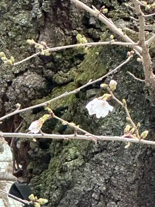 靖國神社(東京都)