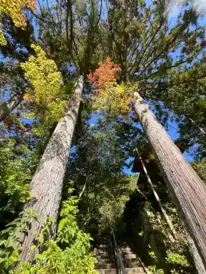 円成寺(奈良県)
