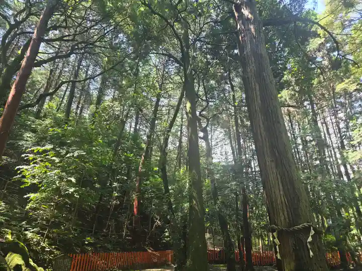 八大龍王社(滋賀県)